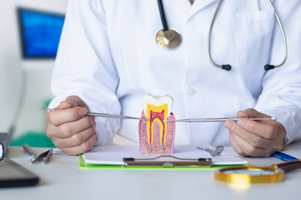 Best Broken Tooth Emergency  in Crosby, ND